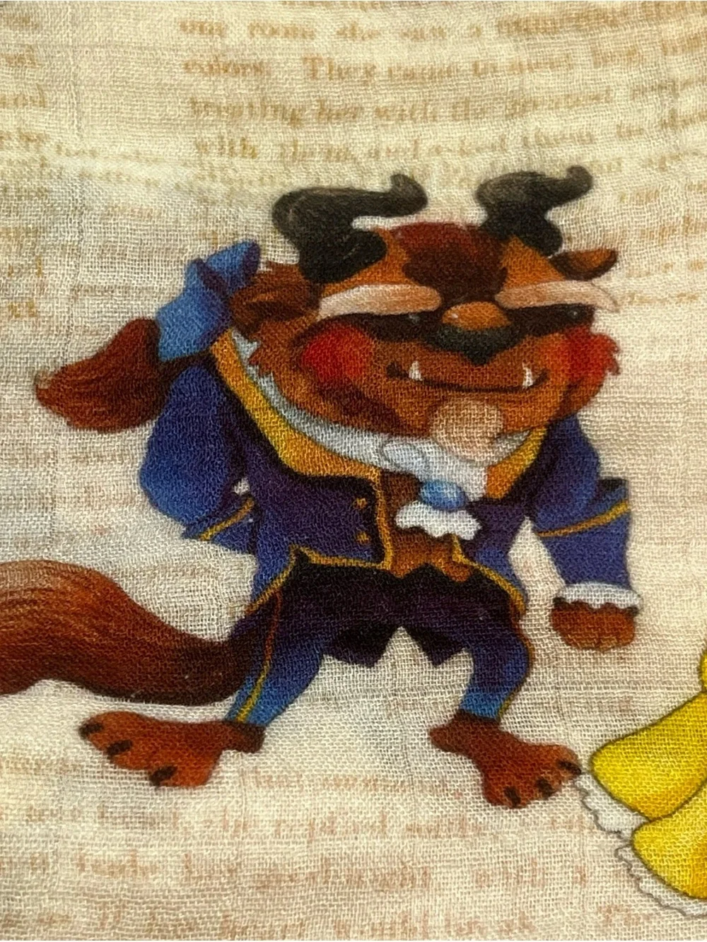 Sweet Bella Sue Beauty & the Beast bamboo blend kids blanket